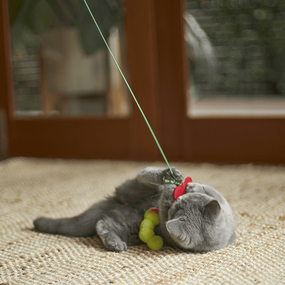 Hungry Caterpillar Wand Cat Toy 7 Hungry Caterpillar Wand Cat Toy