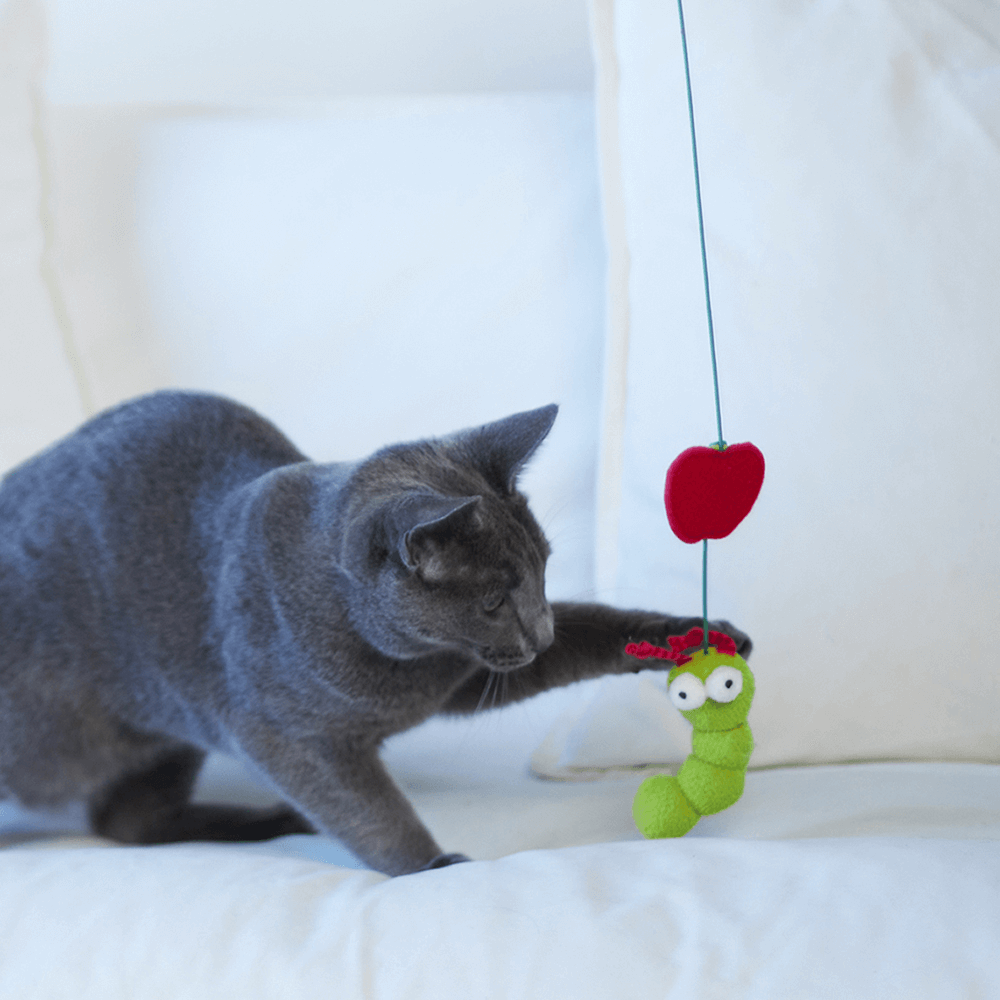 Hungry Caterpillar Wand Cat Toy 8 Hungry Caterpillar Wand Cat Toy