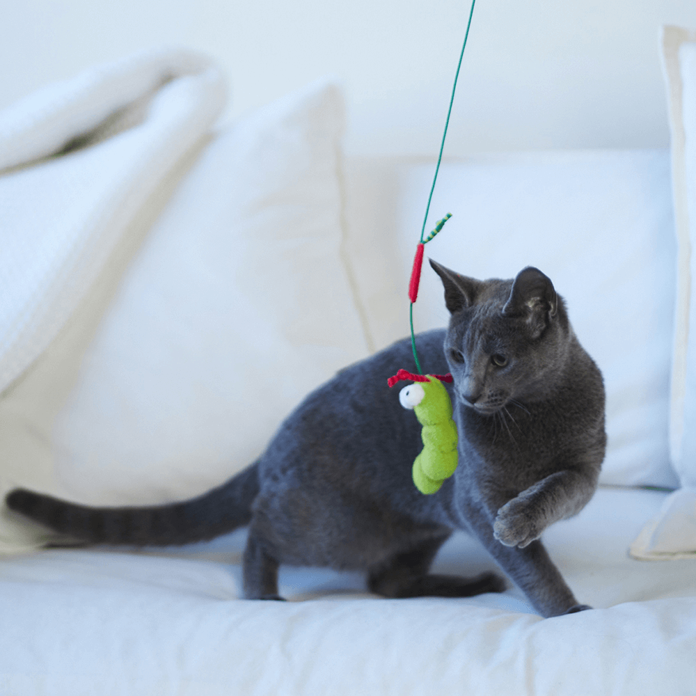 Hungry Caterpillar Wand Cat Toy 9 Hungry Caterpillar Wand Cat Toy