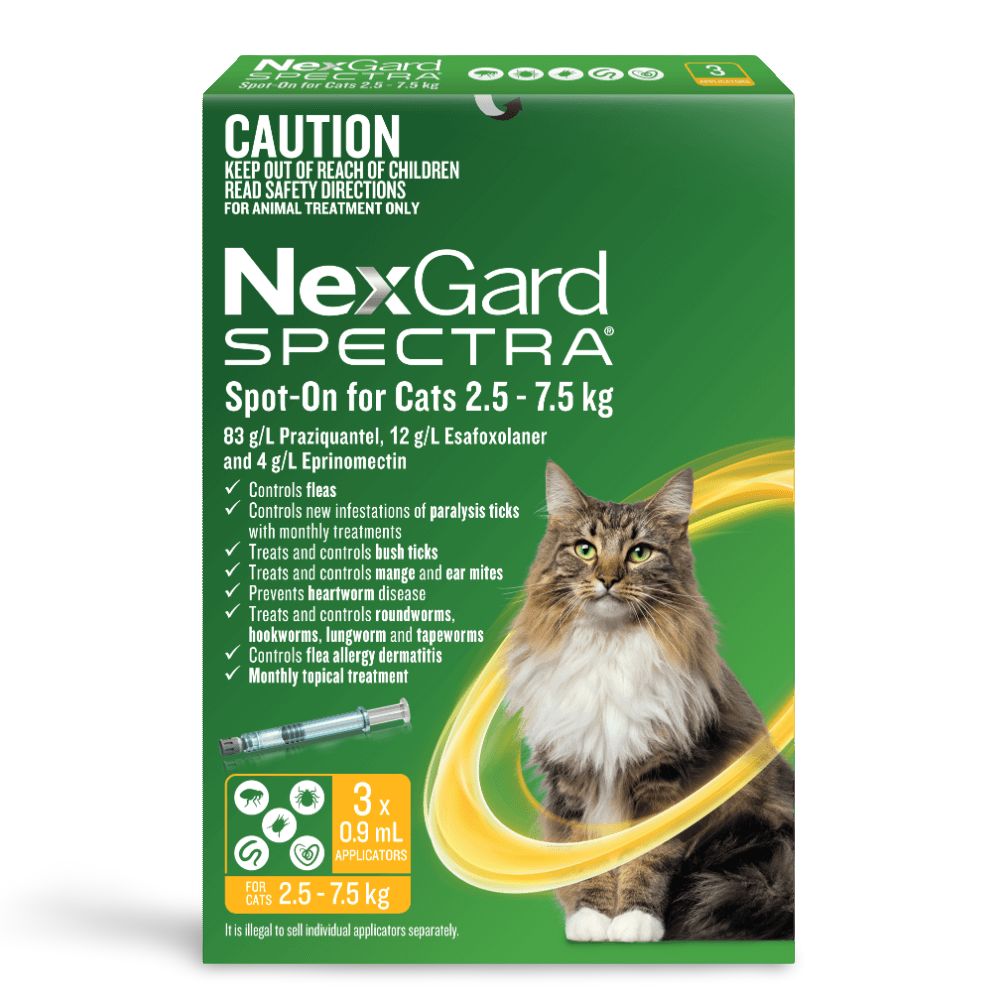 Spot On For Large Cats Yellow 1 Spot On For Large Cats Yellow
