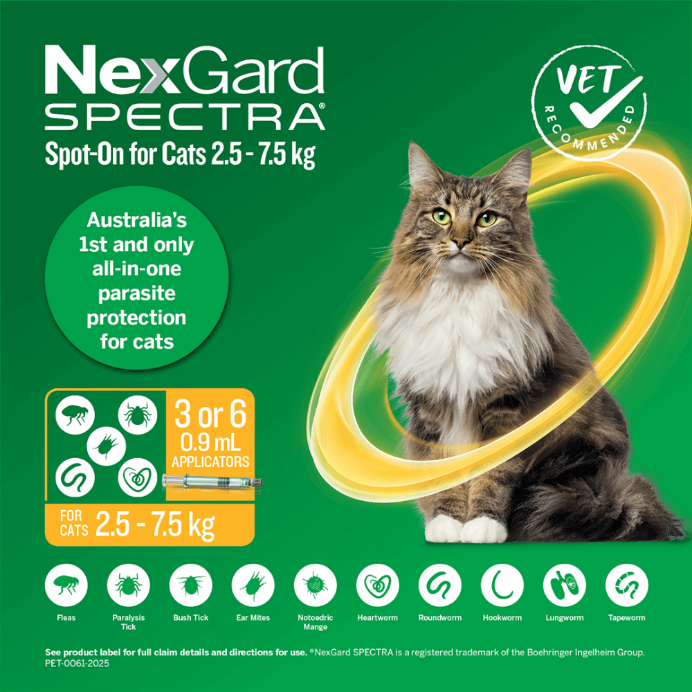 Spot On For Large Cats Yellow 3 Spot On For Large Cats Yellow