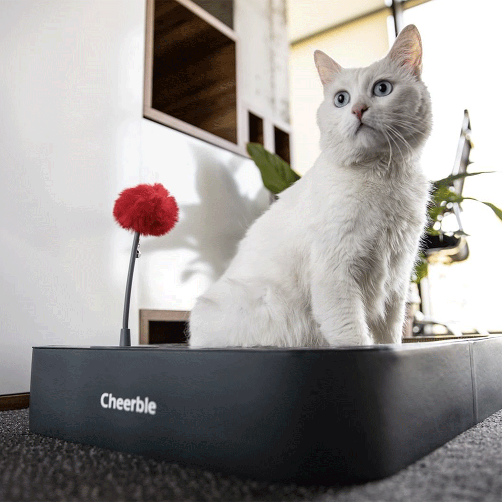 Scratcher Maze Only M1 Not Included 2 Scratcher Maze Only M1 Not Included