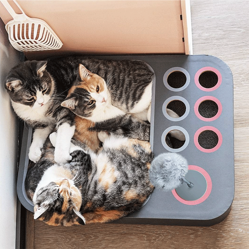 Scratcher Maze Only M1 Not Included 3 Scratcher Maze Only M1 Not Included