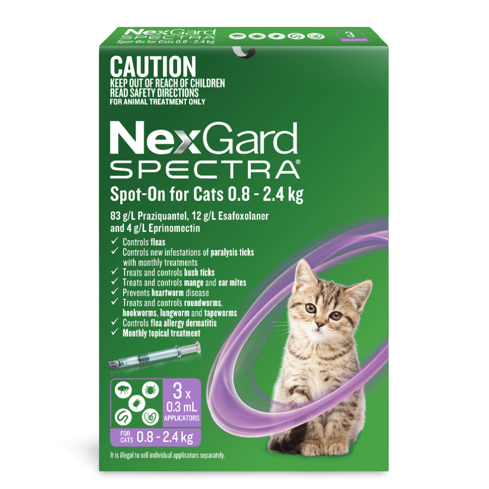 Spot On For Small Cats And Kittens Purple 1 Spot On For Small Cats And Kittens Purple