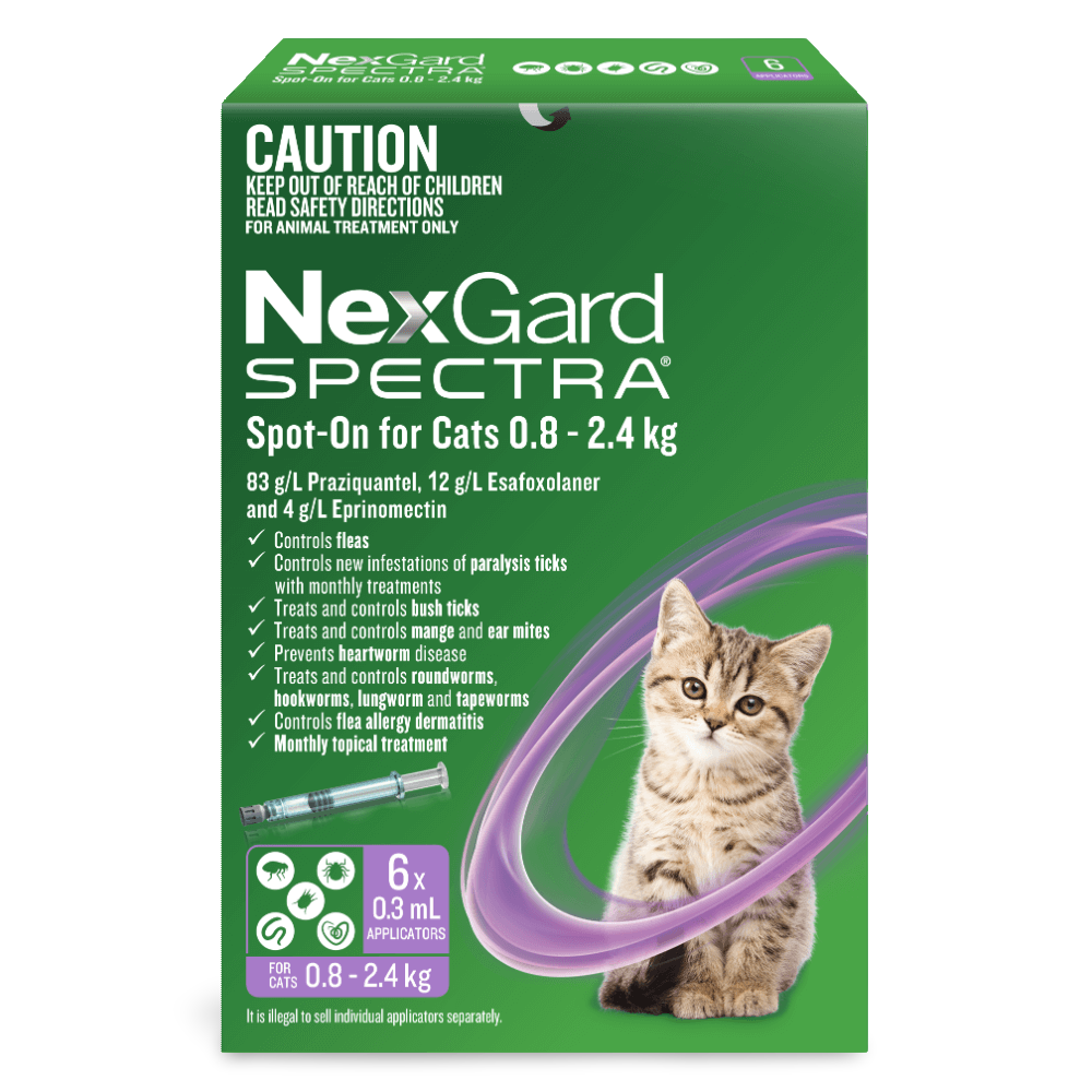 Spot On For Small Cats And Kittens Purple 2 Spot On For Small Cats And Kittens Purple