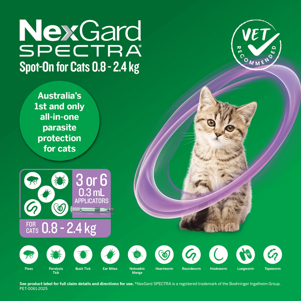 Spot On For Small Cats And Kittens Purple 3 Spot On For Small Cats And Kittens Purple
