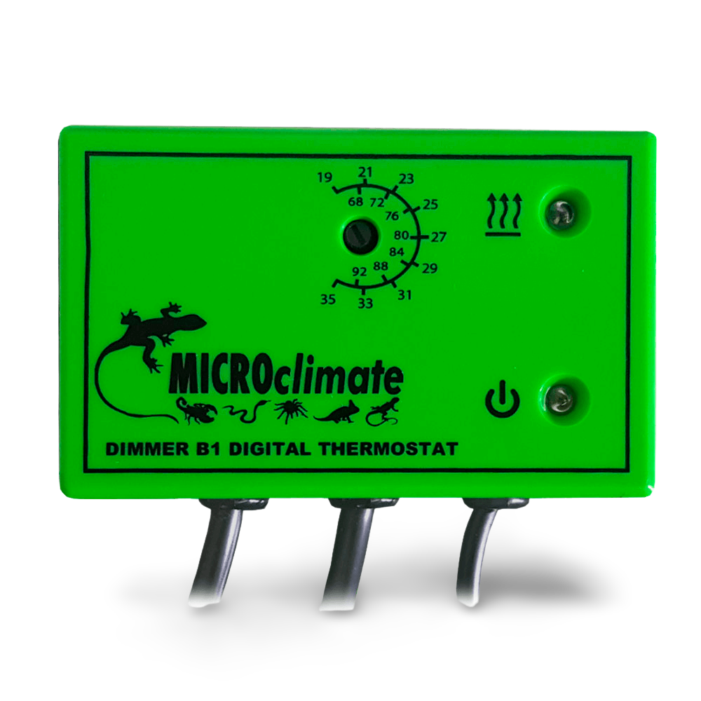 B1 Thermostat