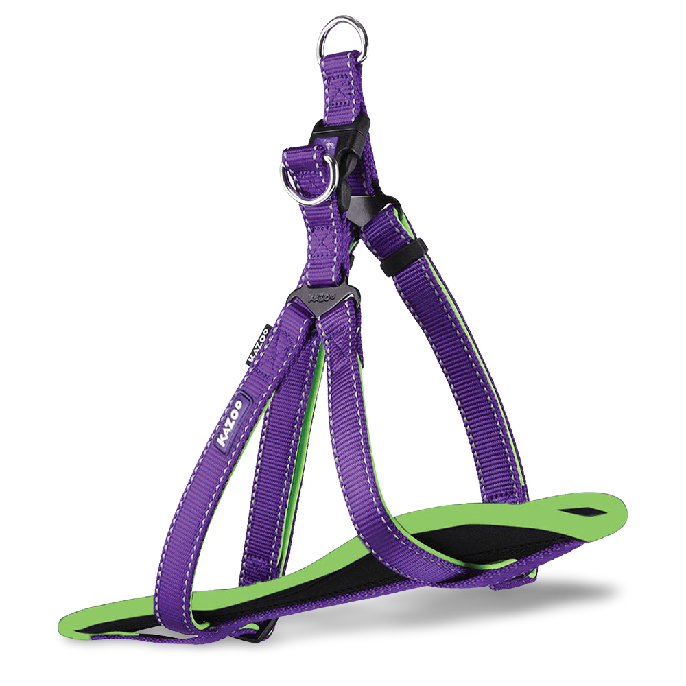 Harness Active Purple 1 Harness Active Purple