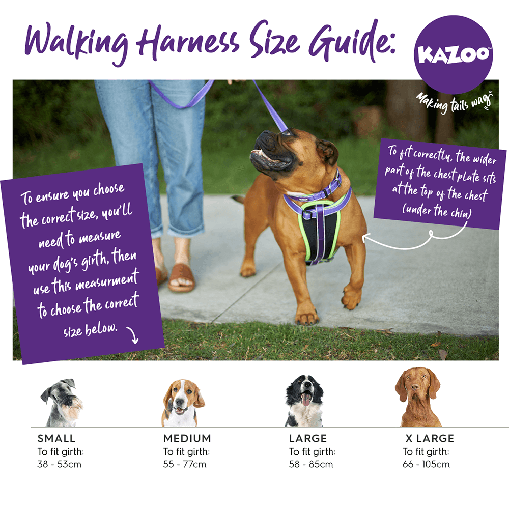 Harness Active Purple 4 Harness Active Purple