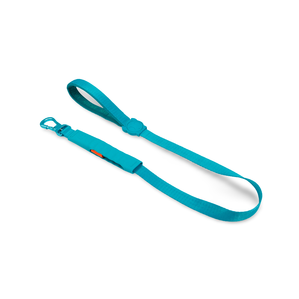 1m Air Leash Blue