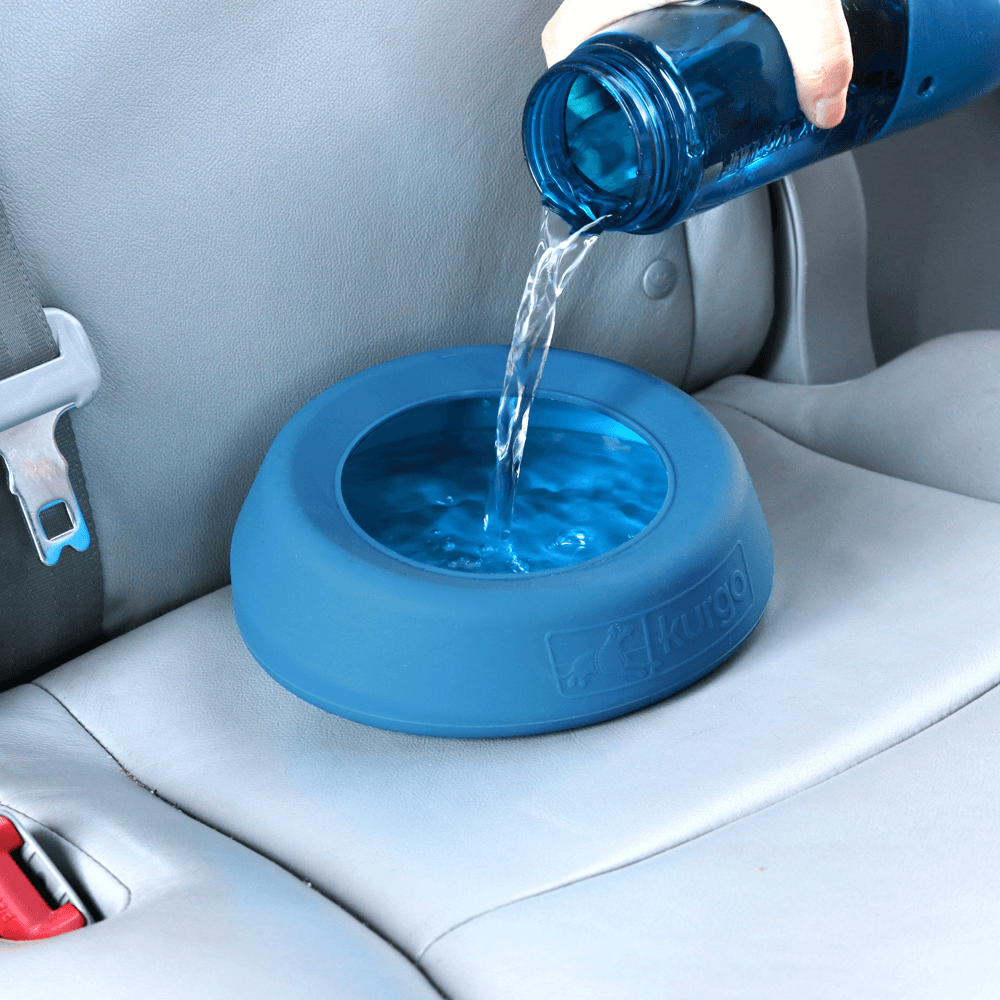 Splash Free Bowl Blue 4 Splash Free Bowl Blue