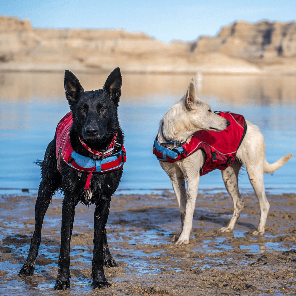 Life Jacket Surf N Turf Red 6 Life Jacket Surf N Turf Red