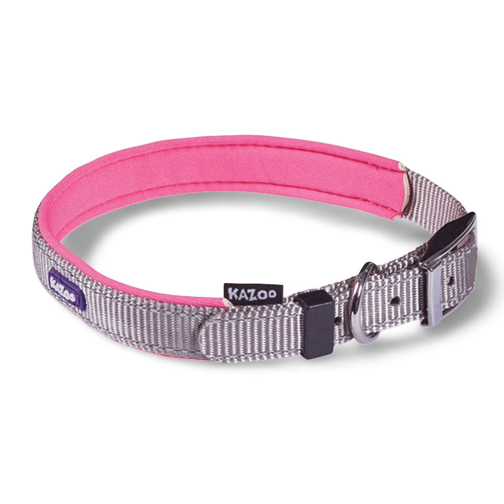 Collar Active Silver 1 Collar Active Silver