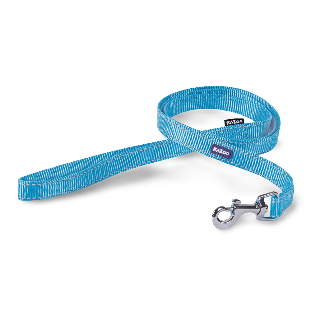 Lead Classic Mint 1 Lead Classic Mint