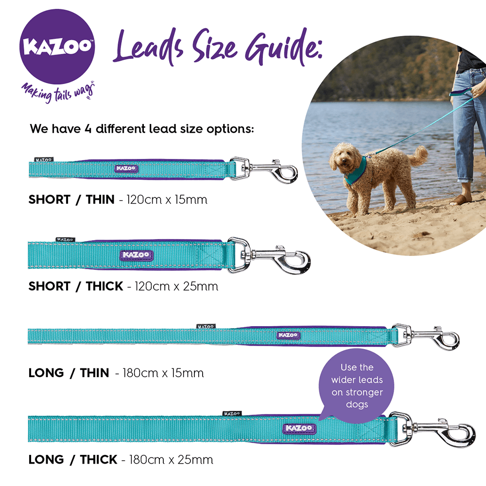 Lead Classic Mint 3 Lead Classic Mint