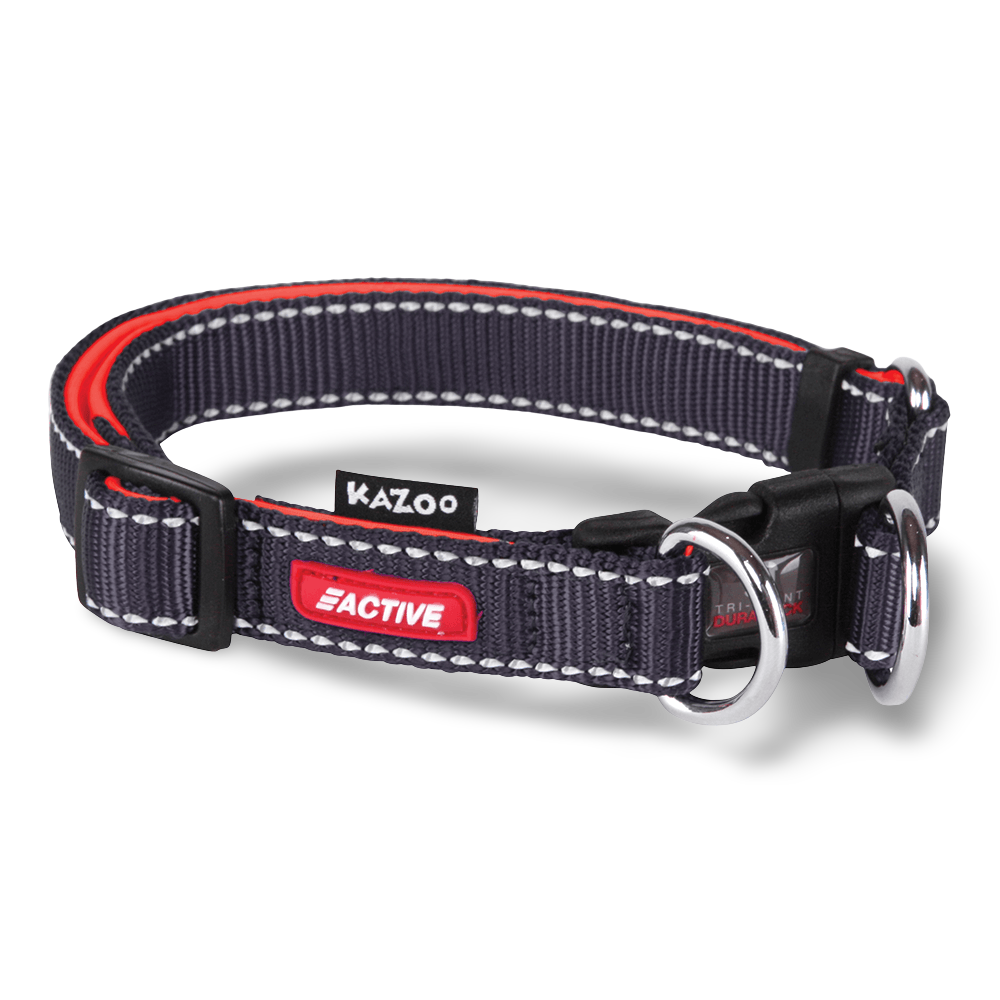 Collar Active Adjustable Slate 1 Collar Active Adjustable Slate