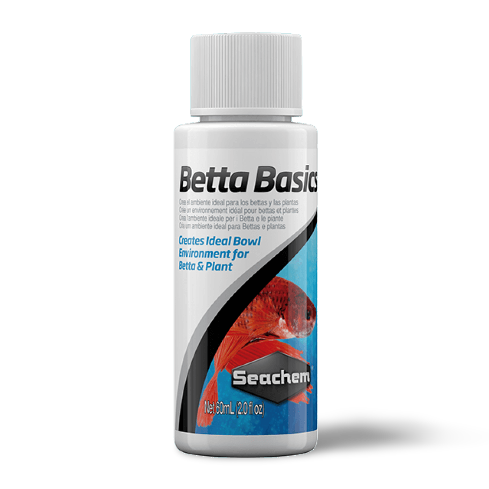 Betta Basics