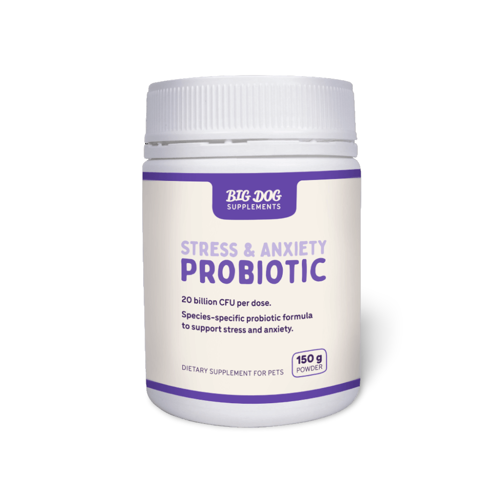 Stress And Anxiety Probiotics For Dogs And Cats 1 Stress And Anxiety Probiotics For Dogs And Cats