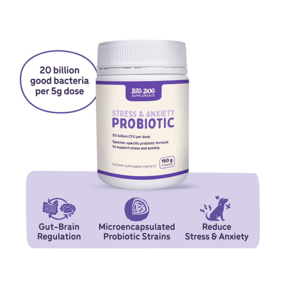 Stress And Anxiety Probiotics For Dogs And Cats 2 Stress And Anxiety Probiotics For Dogs And Cats