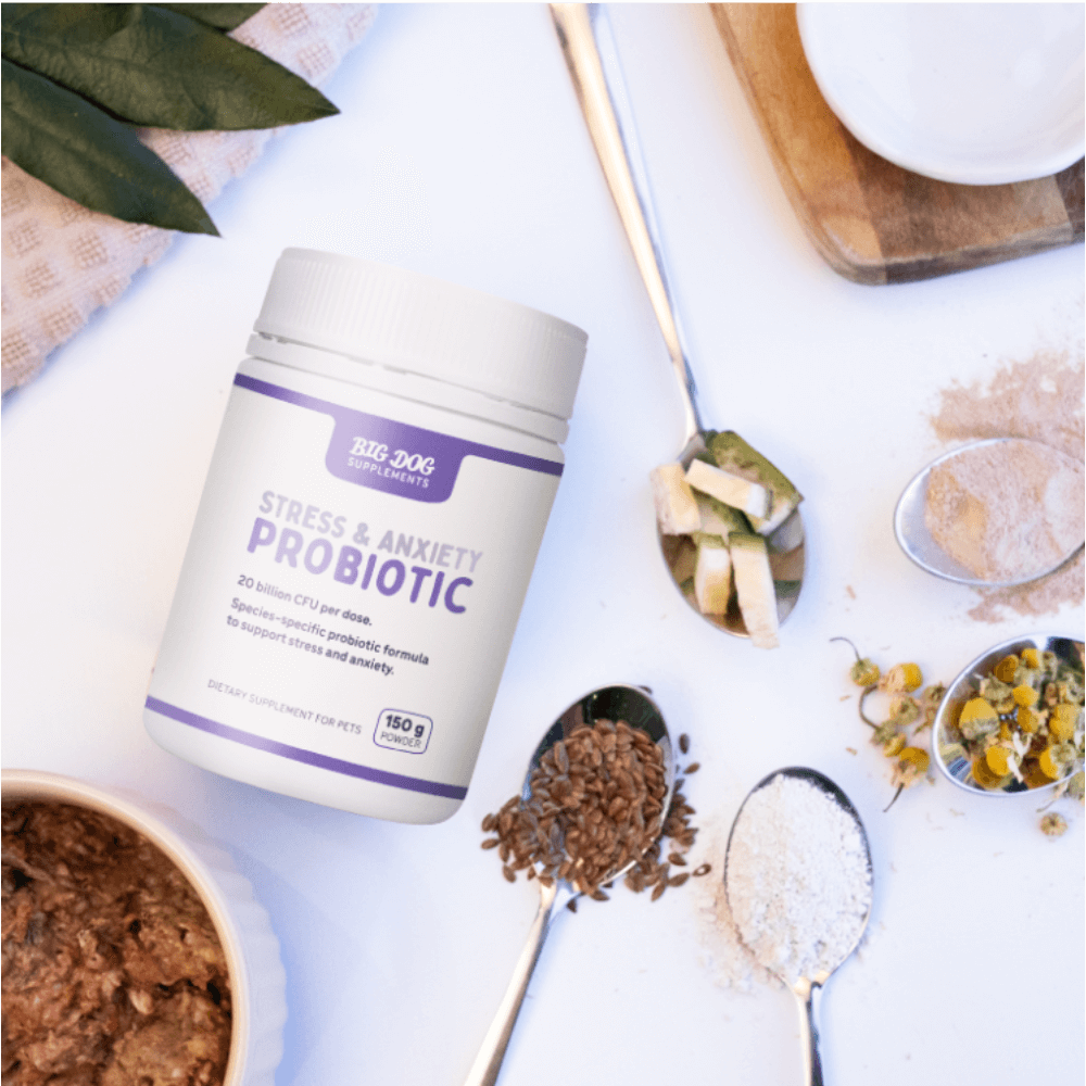 Stress And Anxiety Probiotics For Dogs And Cats 3 Stress And Anxiety Probiotics For Dogs And Cats