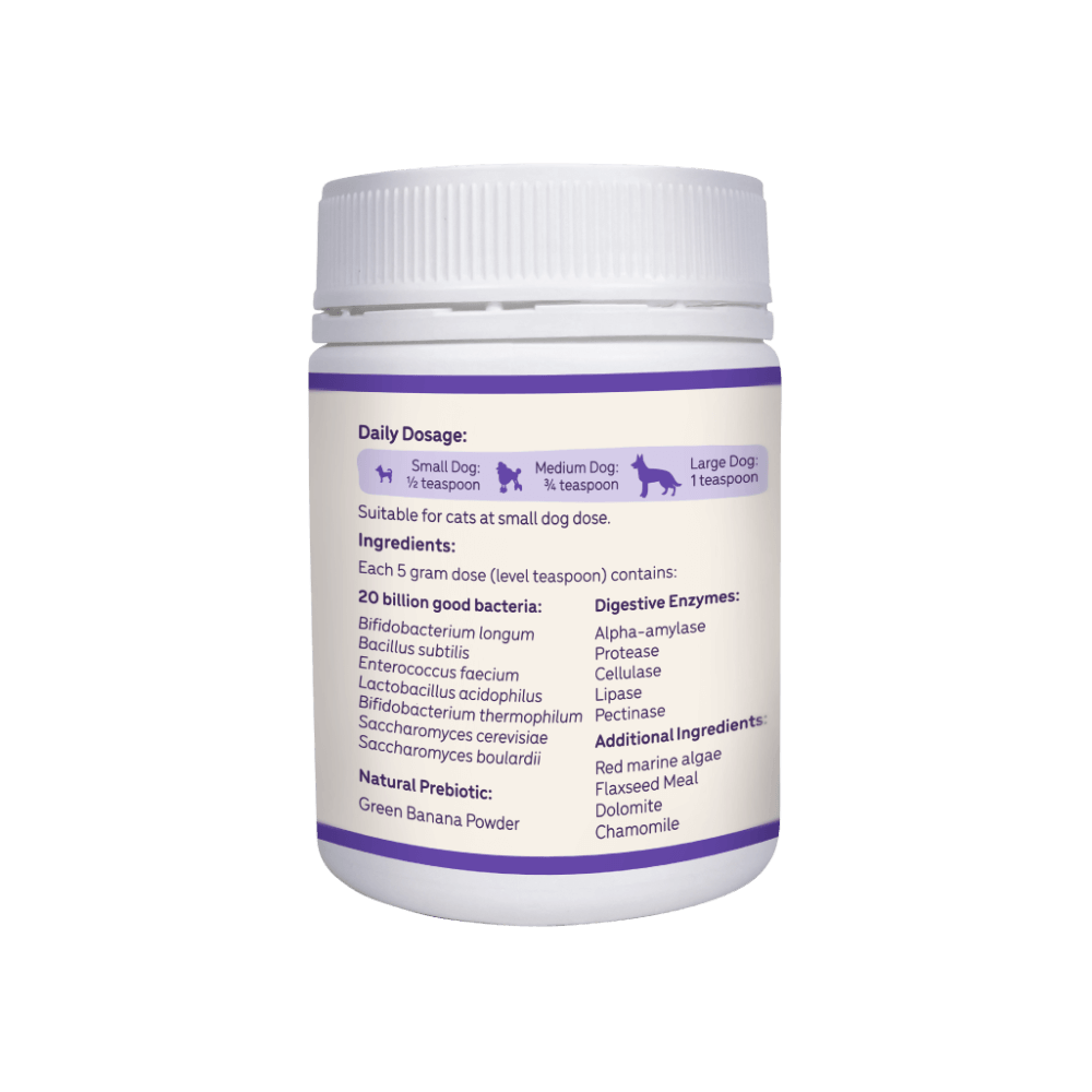 Stress And Anxiety Probiotics For Dogs And Cats 5 Stress And Anxiety Probiotics For Dogs And Cats