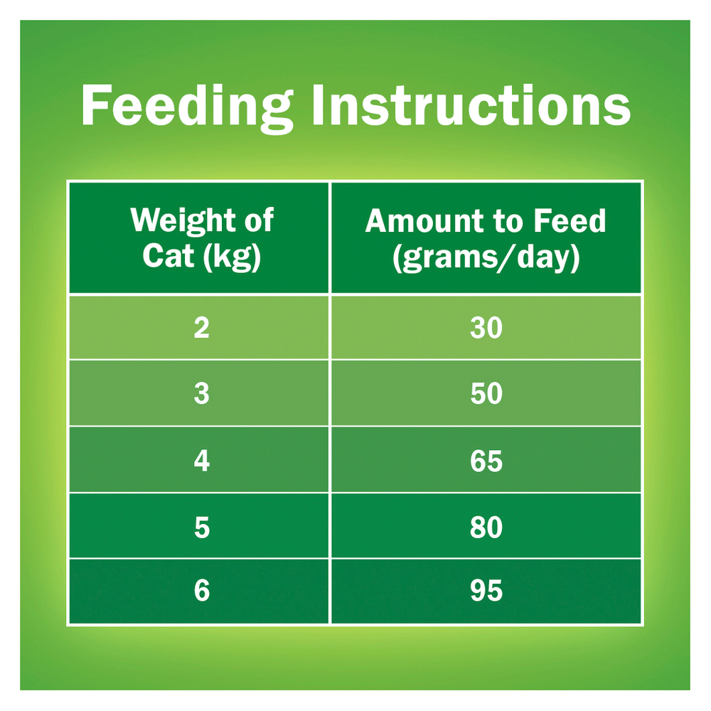 Adult Indoor Delights Dry Cat Food 6 Adult Indoor Delights Dry Cat Food