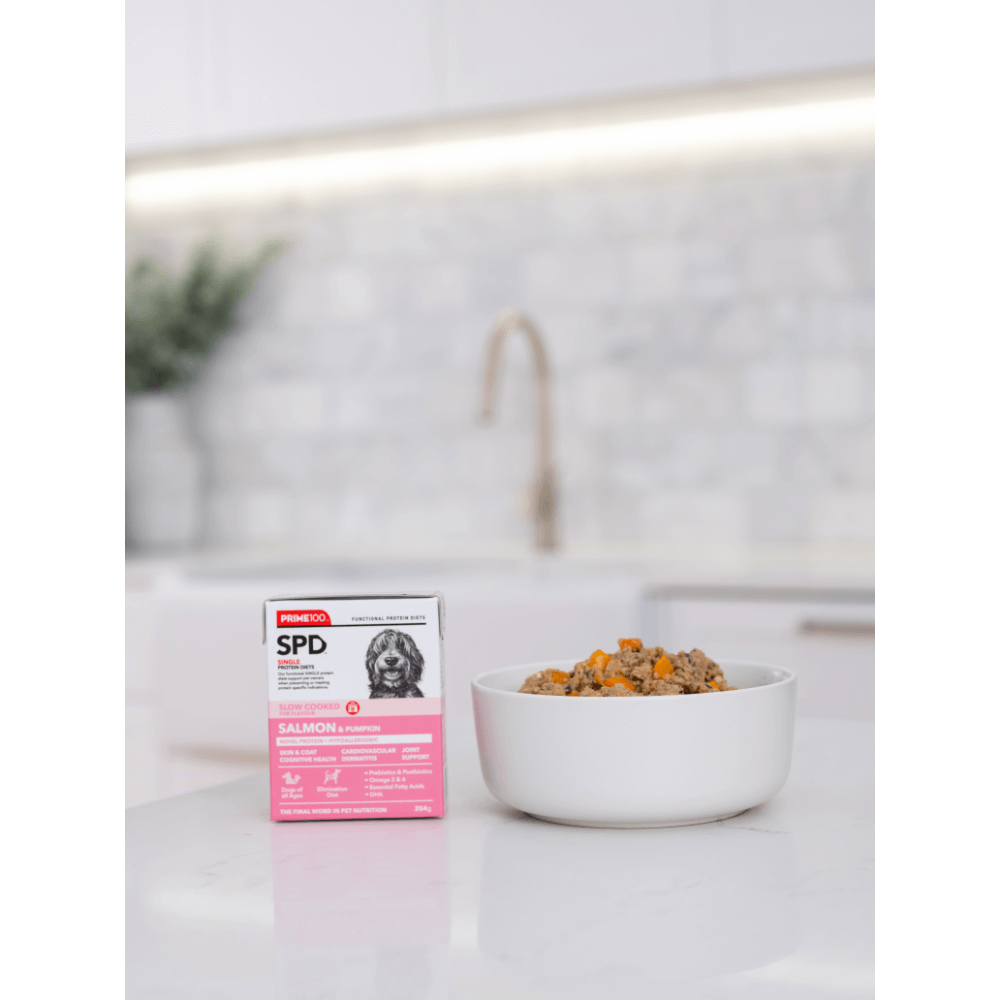 Spd Salmon And Pumpkin Slow Cooked Wet Dog Food 6 Spd Salmon And Pumpkin Slow Cooked Wet Dog Food