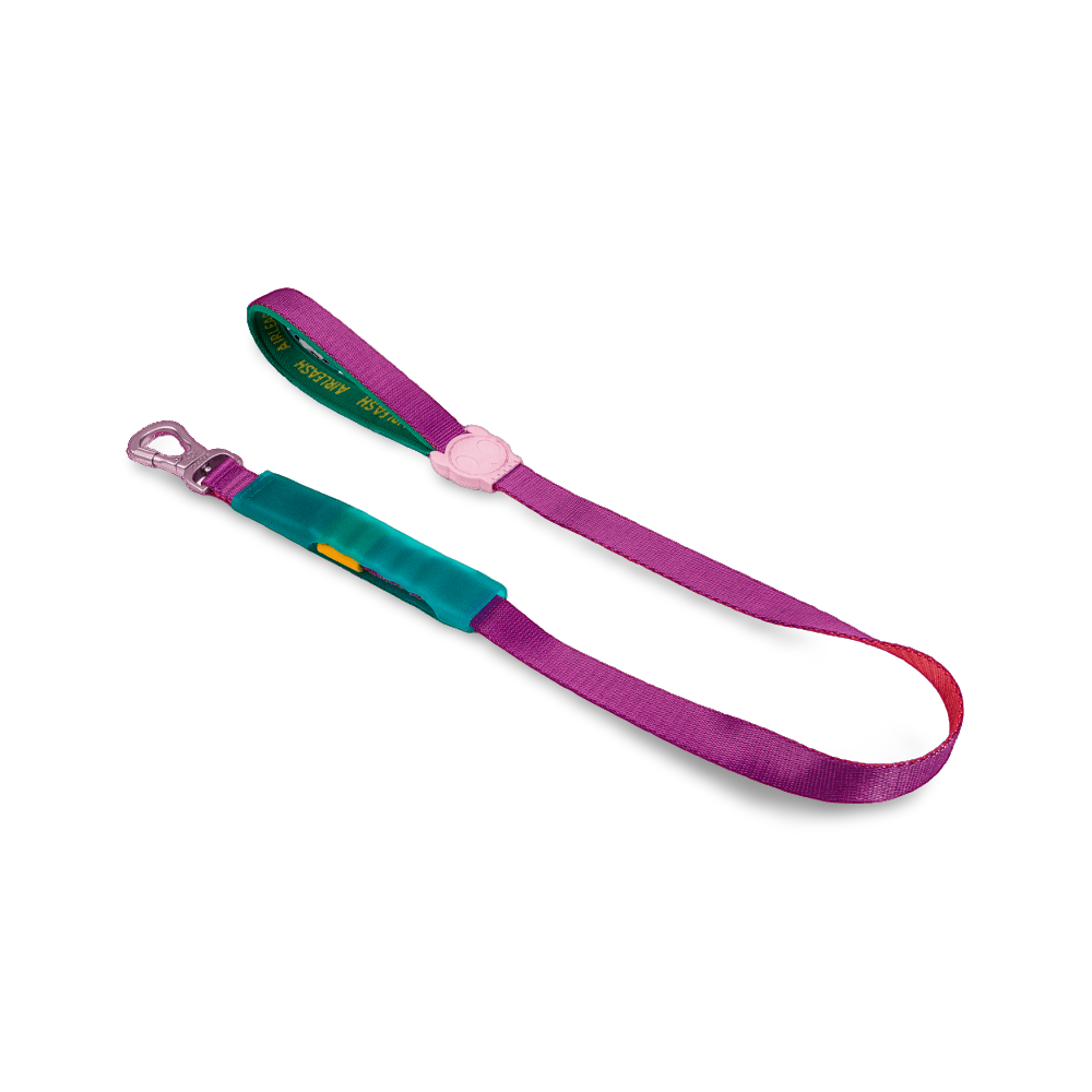 1m Air Leash Cali