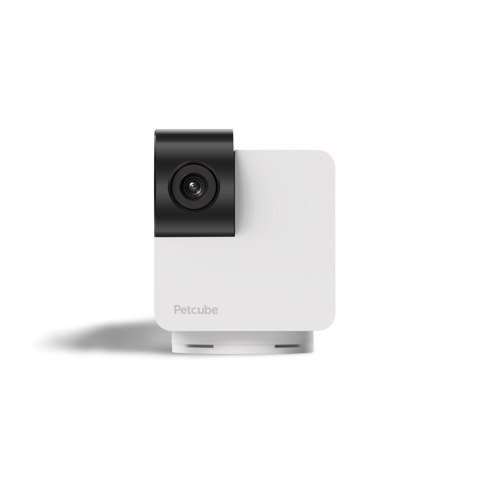 Cam 360 Pet Monitoring Camera