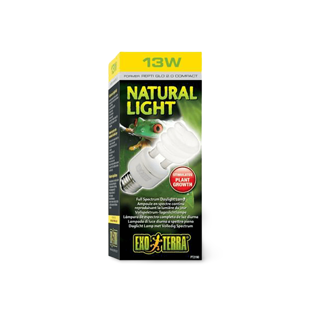 Natural Light