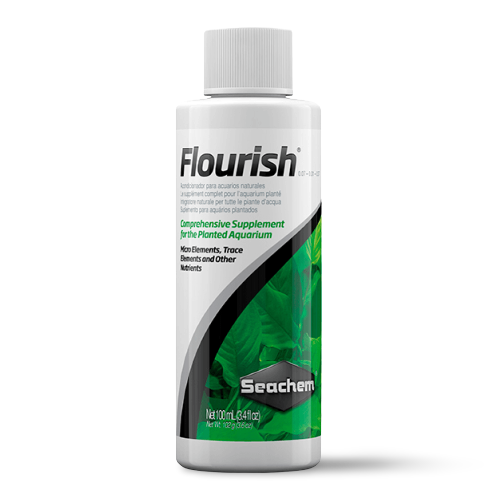 Flourish 1 Flourish