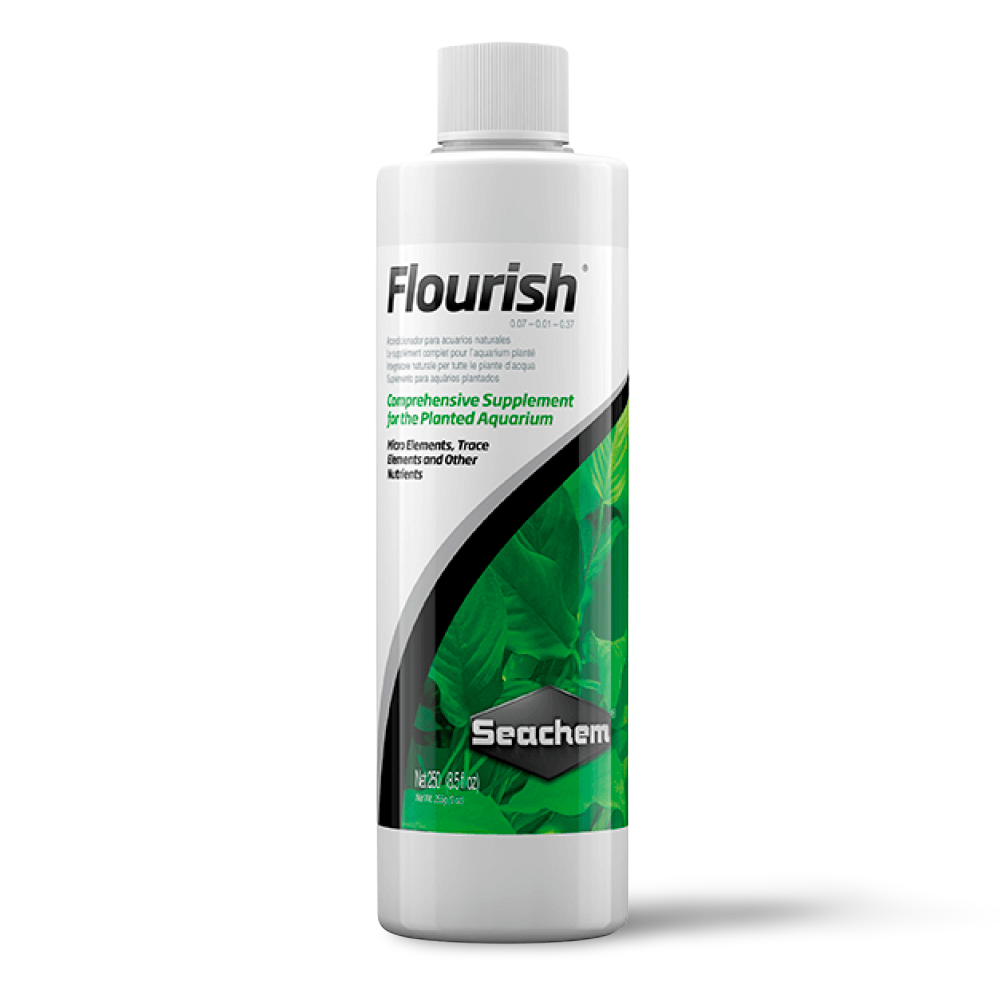 Flourish 2 Flourish