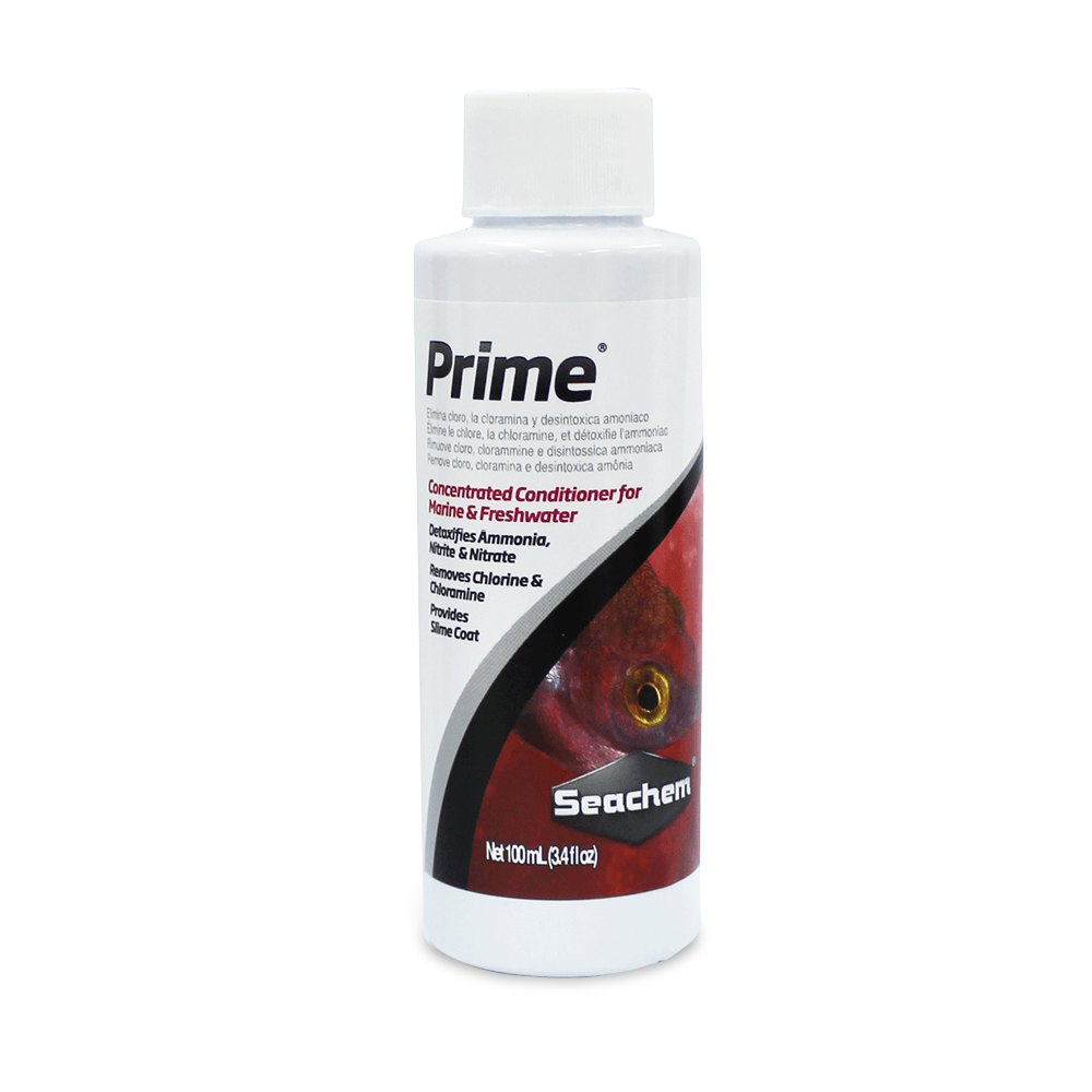Prime 1 Prime