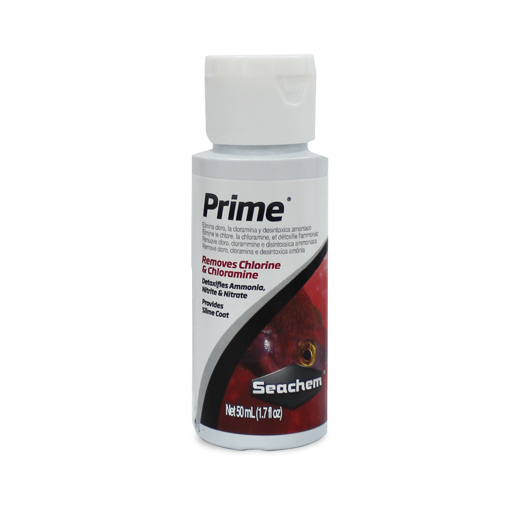 Prime 2 Prime