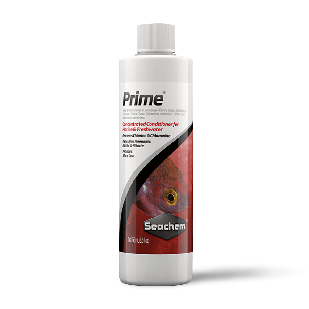 Prime 3 Prime