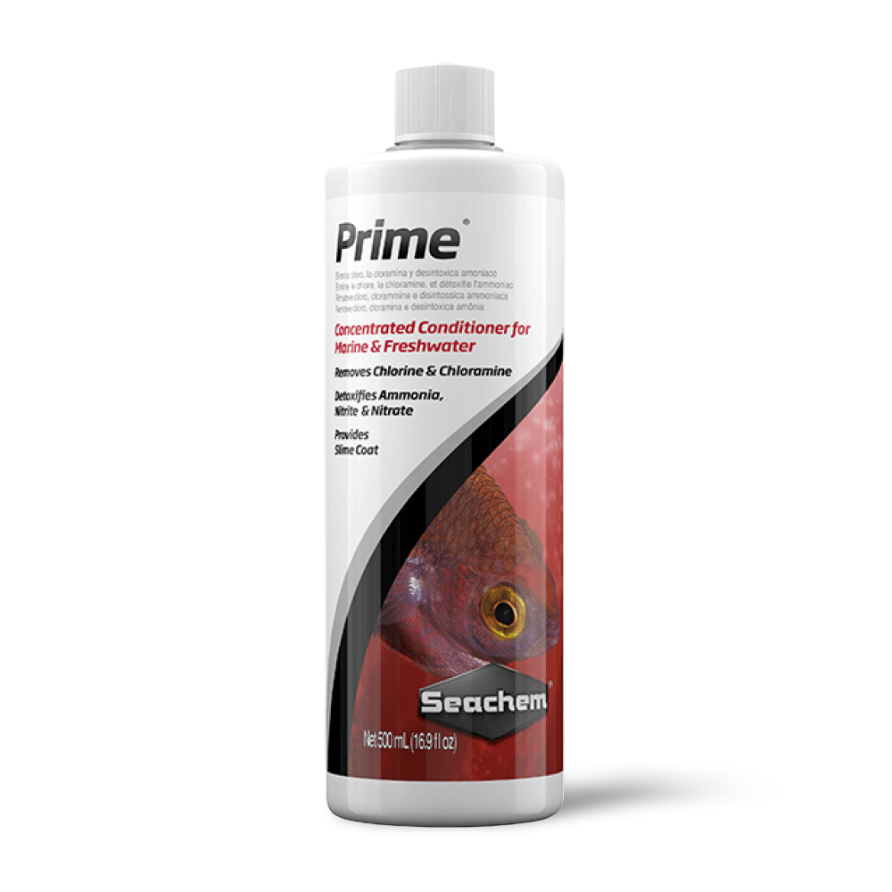 Prime 4 Prime