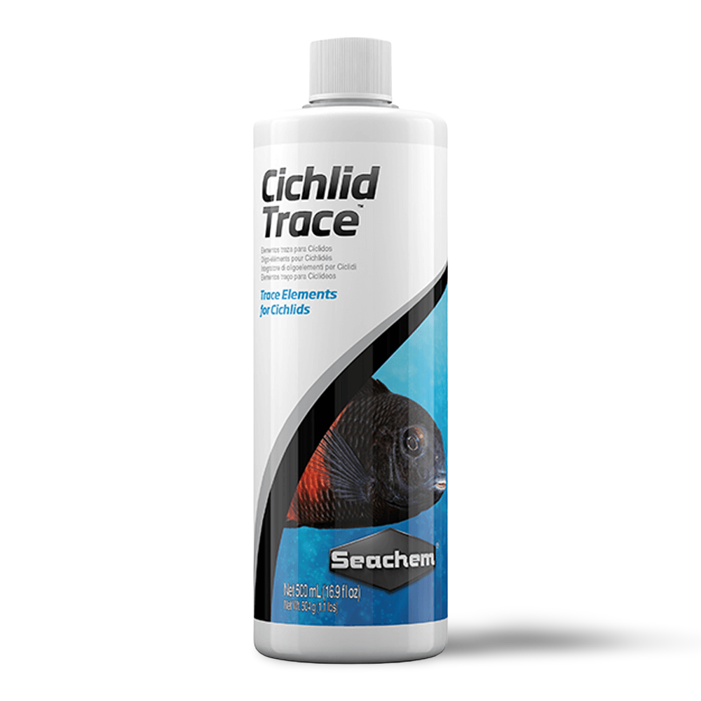 Cichlid Trace