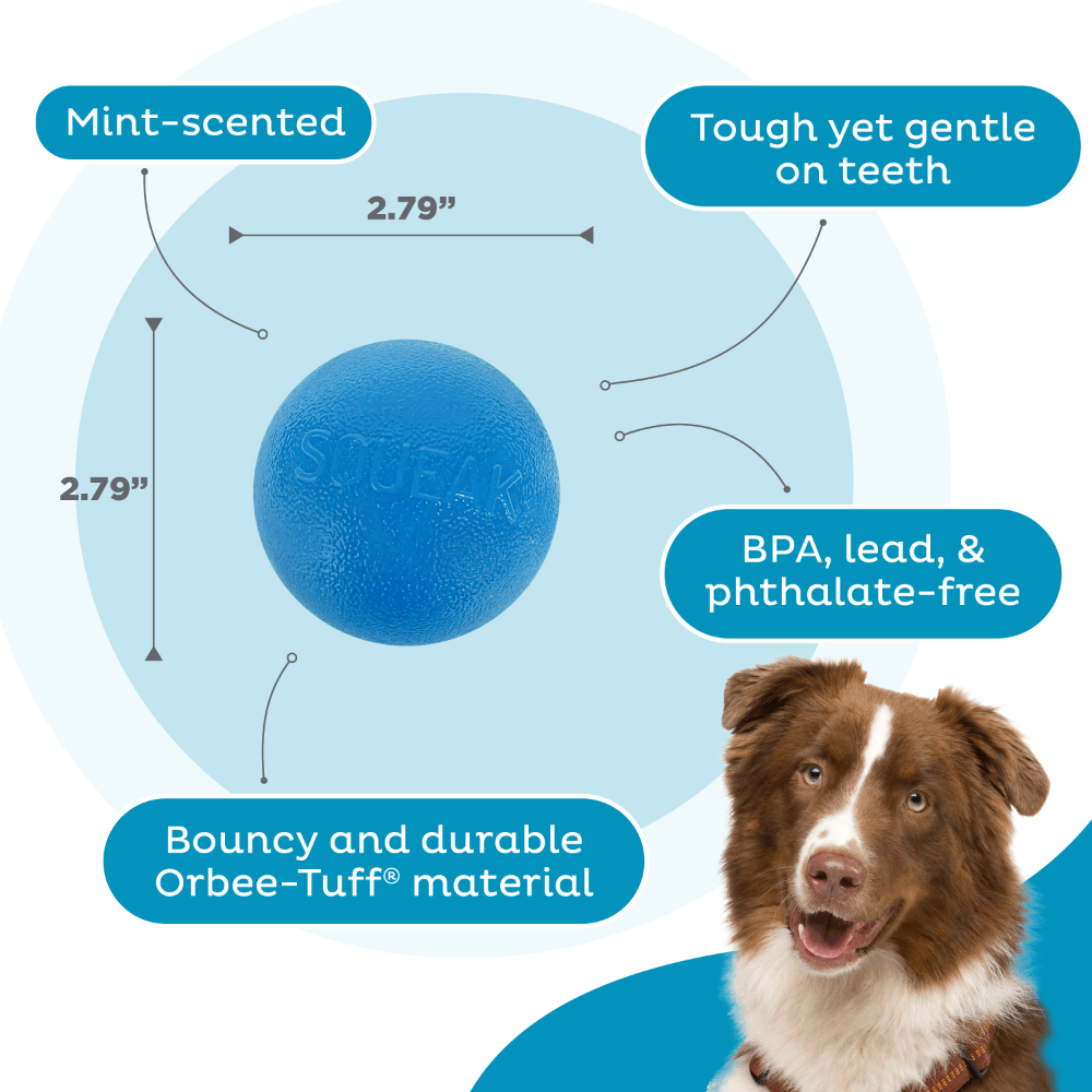Squeak Ball Dog Treat Dispensing Toy Blue 3 Squeak Ball Dog Treat Dispensing Toy Blue