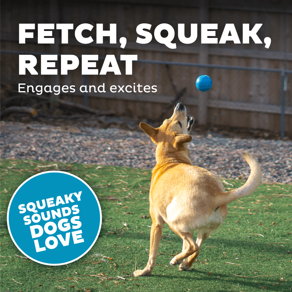 Squeak Ball Dog Treat Dispensing Toy Blue 4 Squeak Ball Dog Treat Dispensing Toy Blue