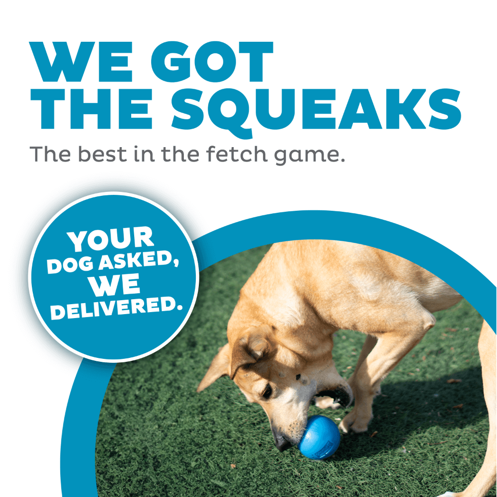 Squeak Ball Dog Treat Dispensing Toy Blue 6 Squeak Ball Dog Treat Dispensing Toy Blue
