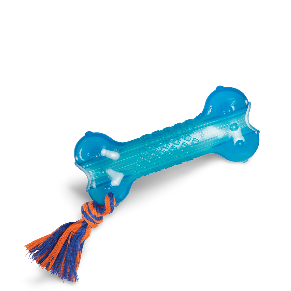 Orka Bone Dog Toy 5 Orka Bone Dog Toy