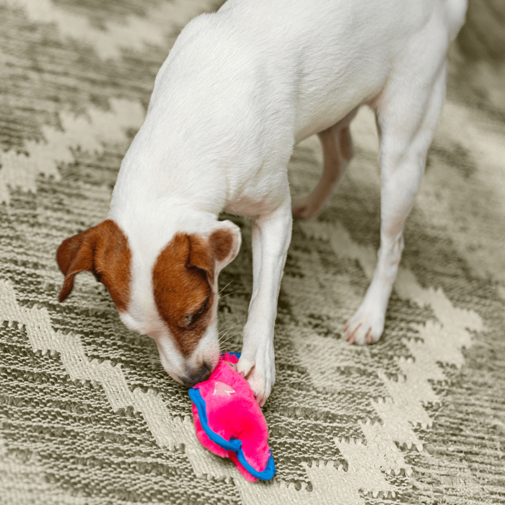 Durablez Pig Plush Dog Toy 7 Durablez Pig Plush Dog Toy