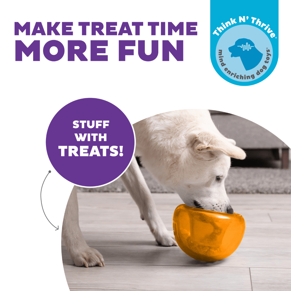 Orbee Tuff Snoop Interactive Dog Toy Orange 10 Orbee Tuff Snoop Interactive Dog Toy Orange