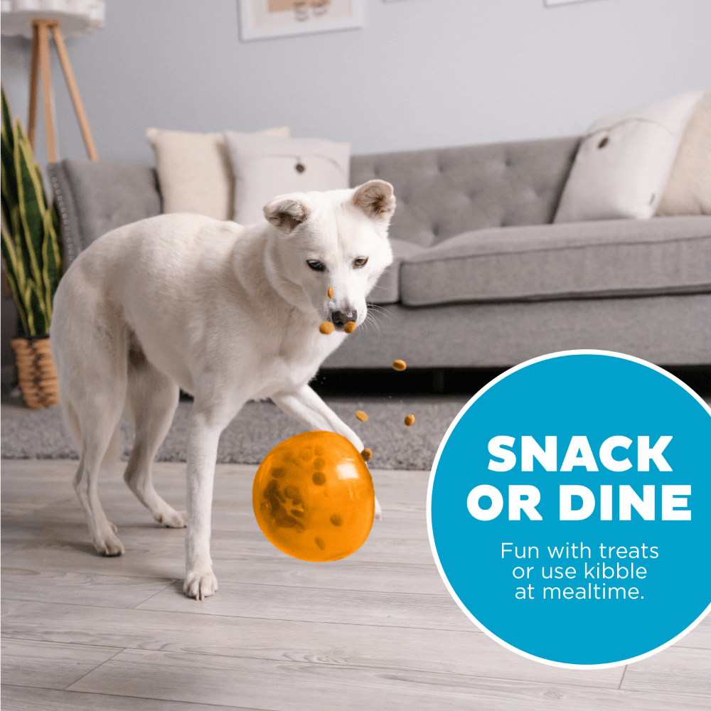 Orbee Tuff Snoop Interactive Dog Toy Orange 12 Orbee Tuff Snoop Interactive Dog Toy Orange