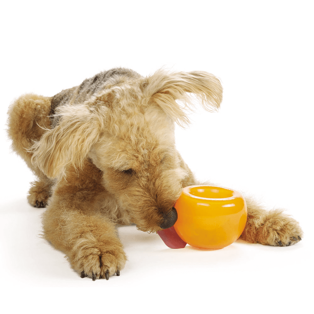 Orbee Tuff Snoop Interactive Dog Toy Orange 15 Orbee Tuff Snoop Interactive Dog Toy Orange