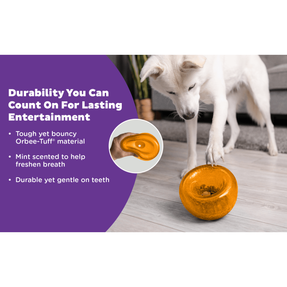 Orbee Tuff Snoop Interactive Dog Toy Orange 8 Orbee Tuff Snoop Interactive Dog Toy Orange