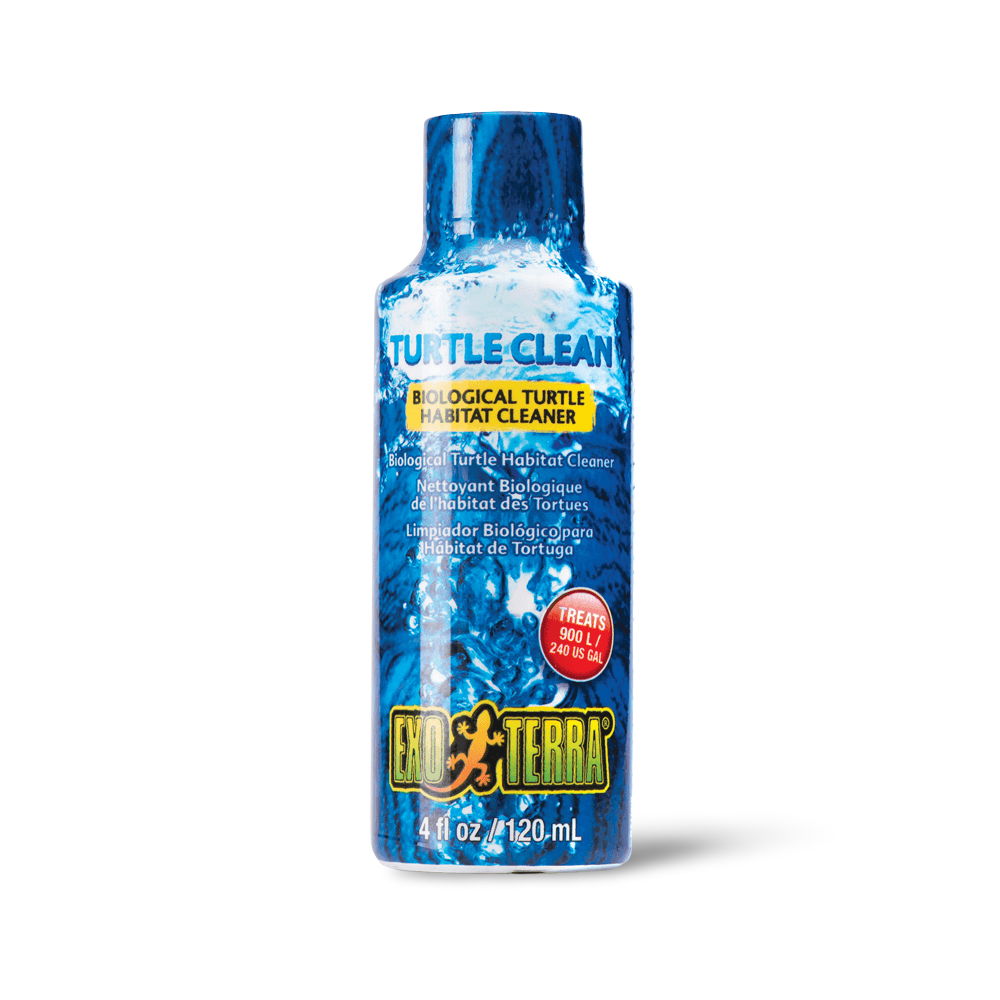 Turtle Clean