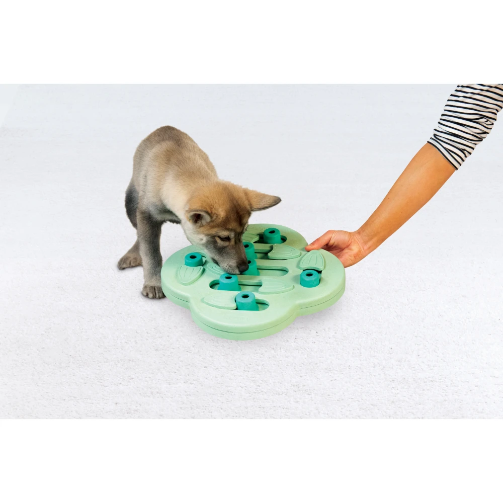 Puppy Hide Slide Dog Treat Puzzle Toy 1 Puppy Hide Slide Dog Treat Puzzle Toy