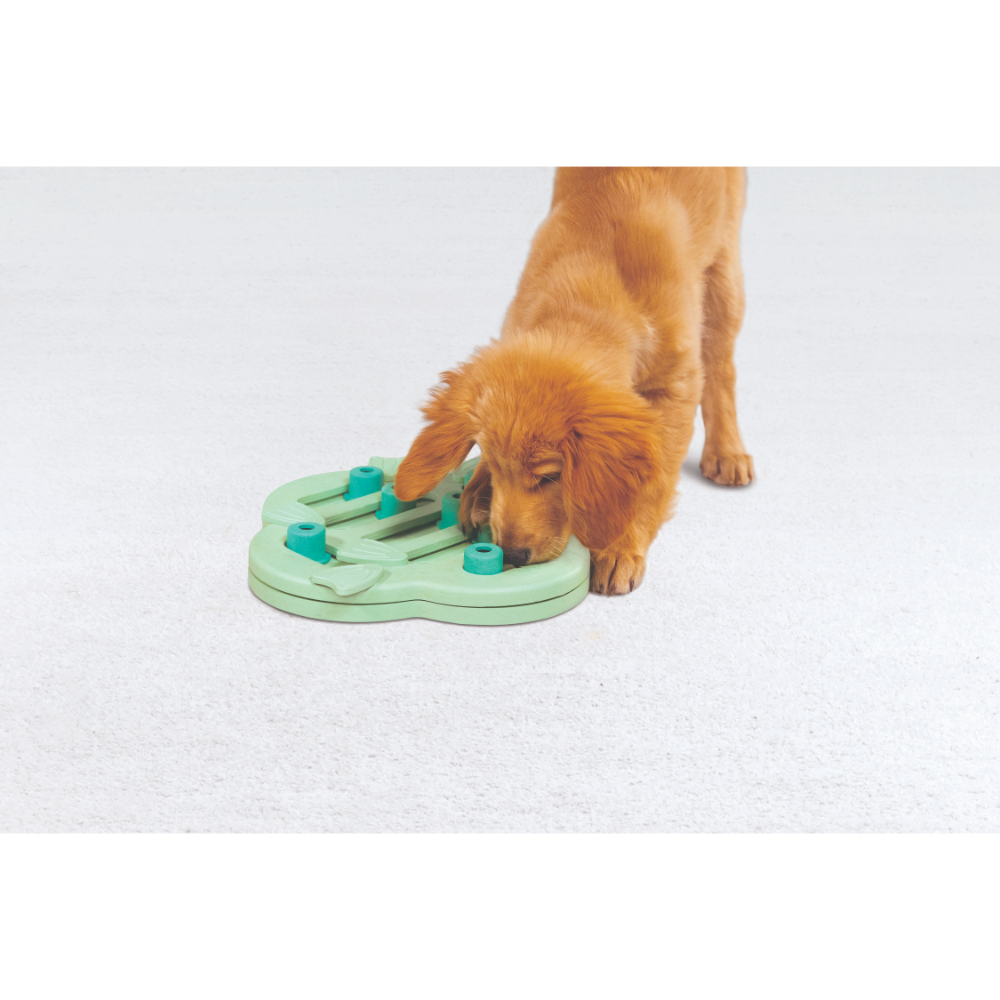 Puppy Hide Slide Dog Treat Puzzle Toy 4 Puppy Hide Slide Dog Treat Puzzle Toy