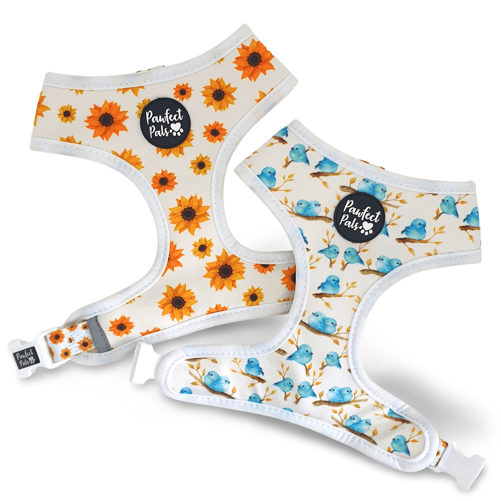 Sunshine On My Mind Reversible Harness 1 Sunshine On My Mind Reversible Harness